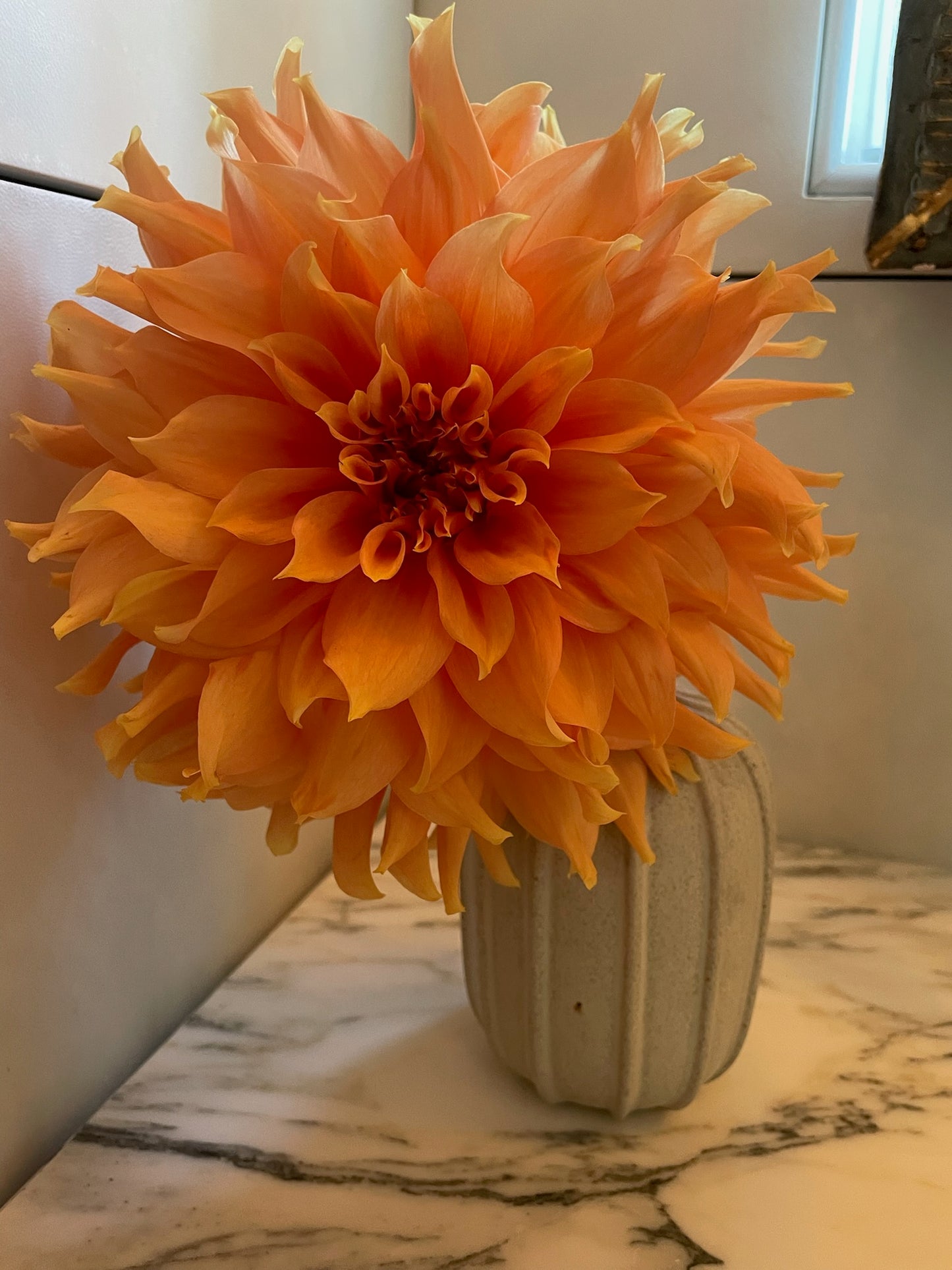 Fairway Spur - Tuber