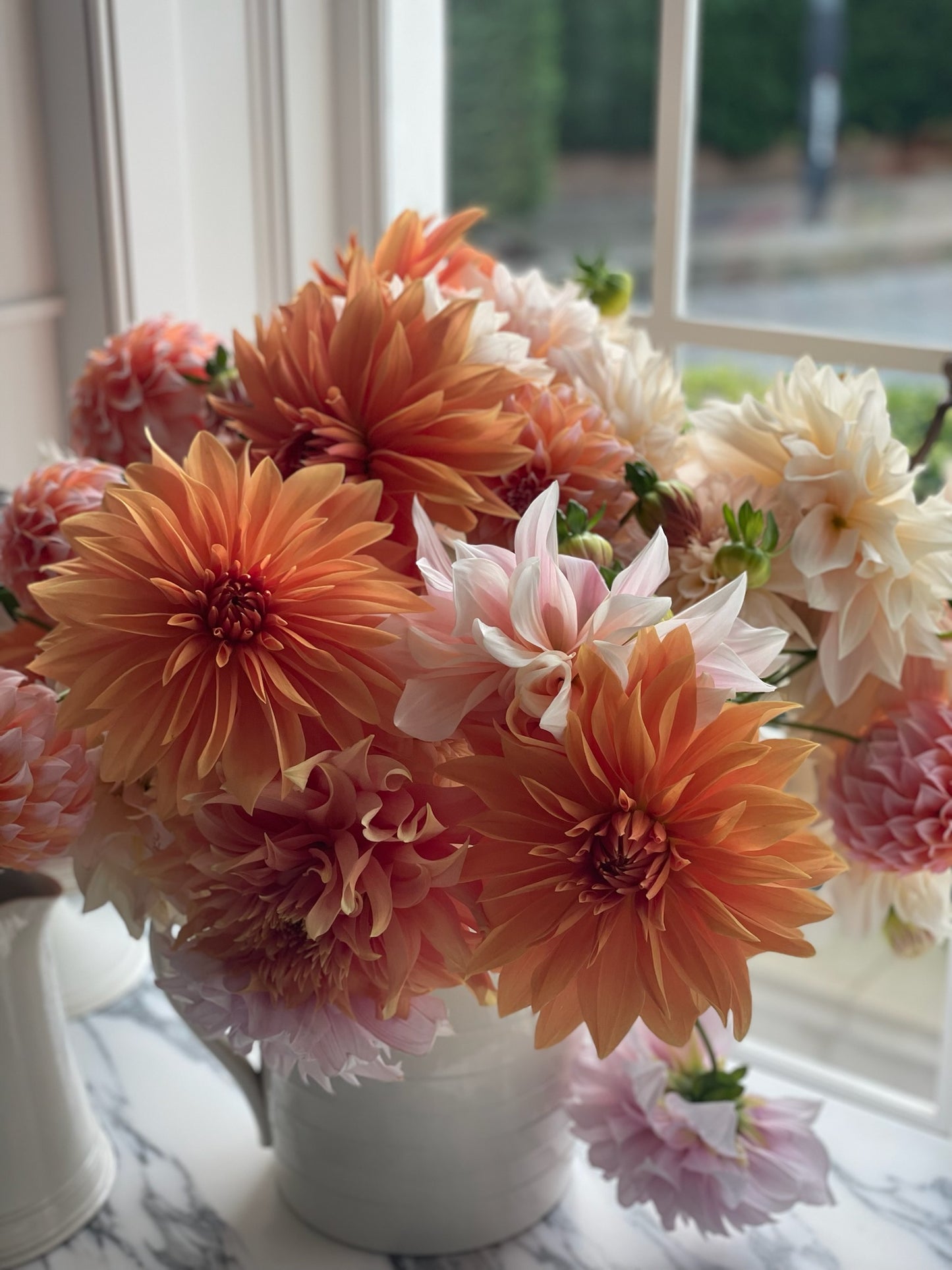 Babylon Bronze - Tuber